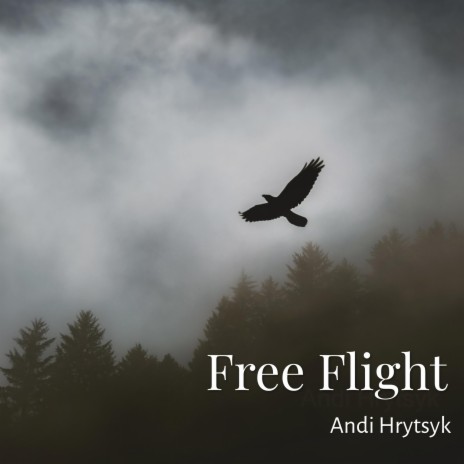 Free Flight | Boomplay Music