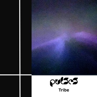 Tribe