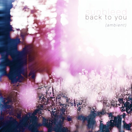 Back to You (Ambient) | Boomplay Music