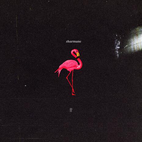 Flamingos | Boomplay Music