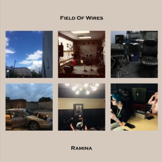 Field of Wires