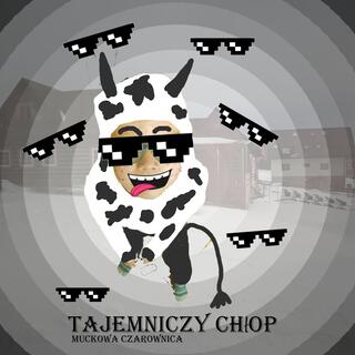 Tajemniczy chłop