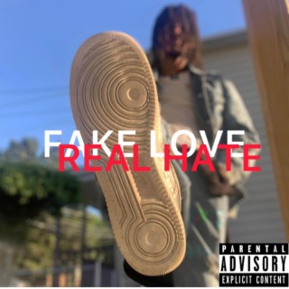 FAKE LOVE REAL HATE