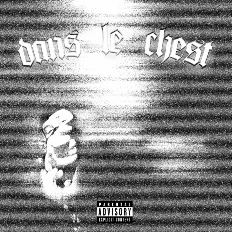 DANS LE CHEST | Boomplay Music