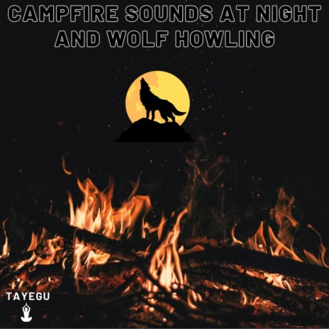 Campfire Sounds at Night and Wolf Howling Crickets Forest Camping 1 Hour Relaxing Nature Ambience Yoga Meditation Sounds For Sleeping Relaxation or Studying