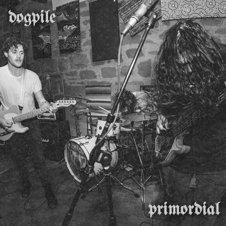 Primordial | Boomplay Music