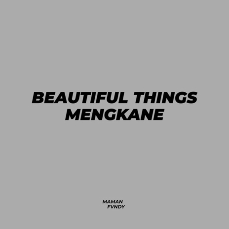 Beautiful Things Mengkane | Boomplay Music