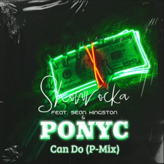 Can Do (P-Mix) (feat. Sean Kingston & Ponyc)