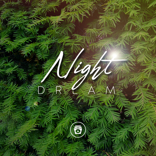 Night Dream