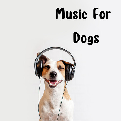 Dog Relaxation ft. Music For Dogs Peace, Relaxing Puppy Music & Calm Pets Music Academy | Boomplay Music