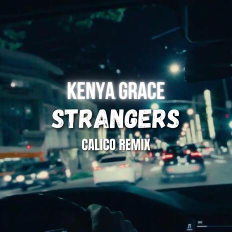 Strangers (REMIX) | Boomplay Music