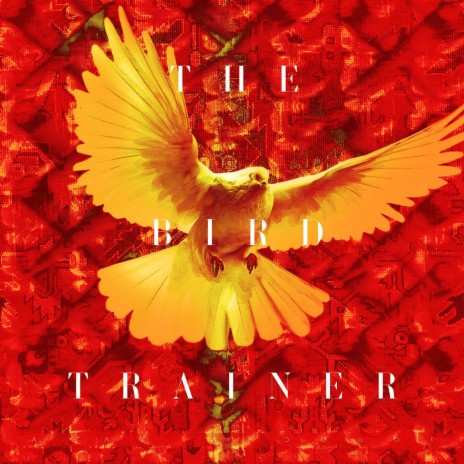 The Bird Trainer | Boomplay Music