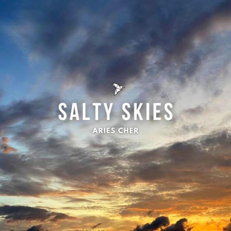 Salty Skies | Boomplay Music
