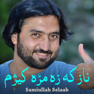 Samiullah Selaab