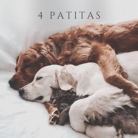 4 Patitas ft. Relajacion, Mind & Earth & AlesitoRelaxing