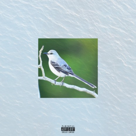 Mockingbird (Remix) | Boomplay Music