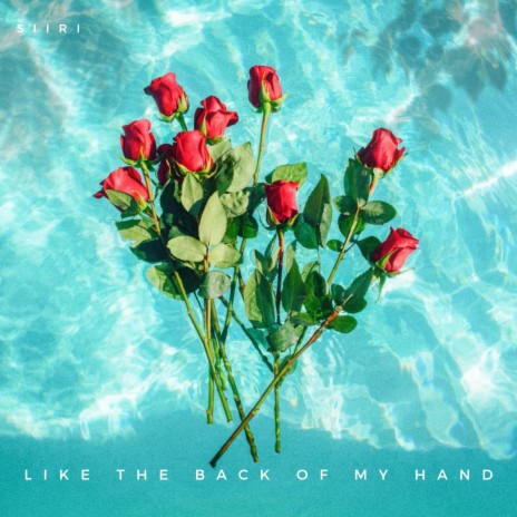 Like the Back of My Hand | Boomplay Music