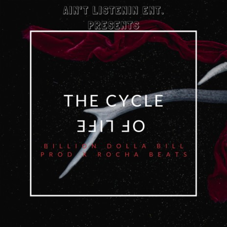 The Cycle Of Life | Boomplay Music