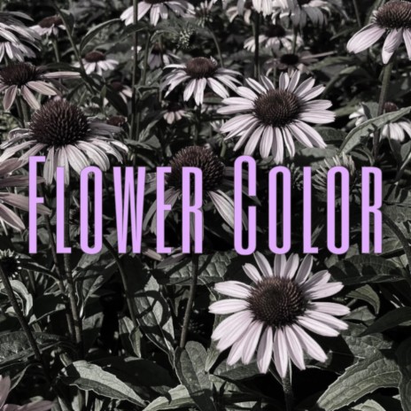 Flower Color