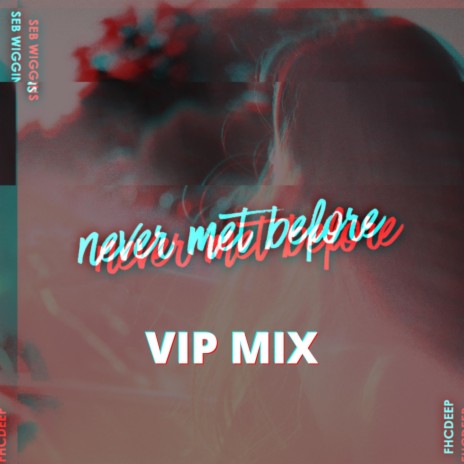 Never Met Before (VIP Mix) | Boomplay Music
