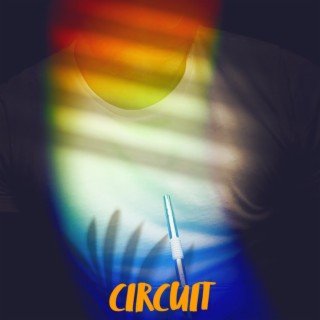 Circuit