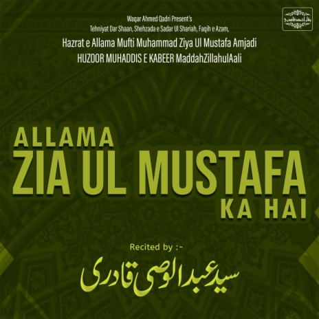 Ziya Ul Mustafa Ka Hai | Boomplay Music