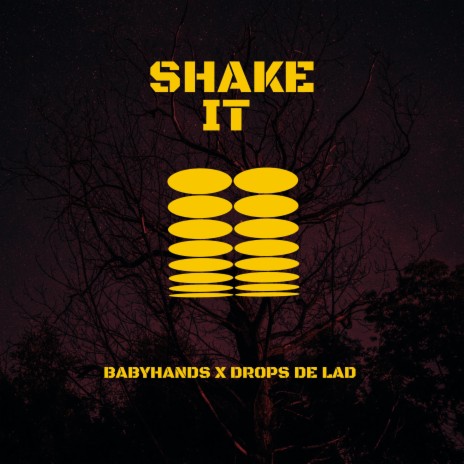 Shake It ft. Drops De Lad