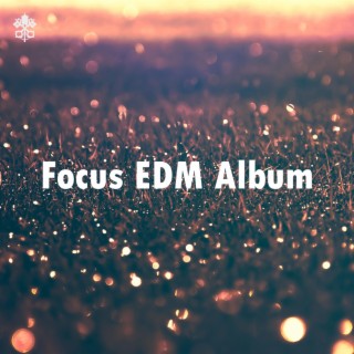 Focus EDM Album