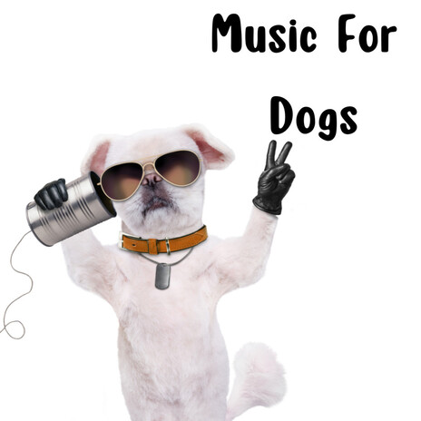 Music For Relaxation ft. Music For Dogs Peace, Relaxing Puppy Music & Calm Pets Music Academy | Boomplay Music