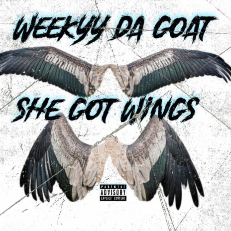 She Got Wings | Boomplay Music