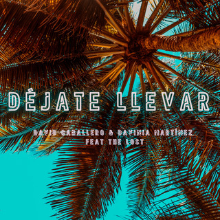 Déjate Llevar