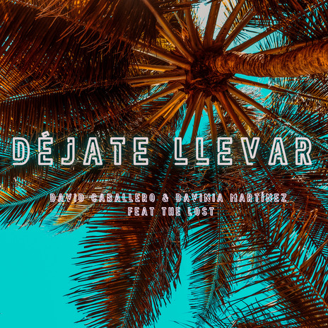 Déjate Llevar ft. David de la Encarnación Oltra & David Caballero | Boomplay Music