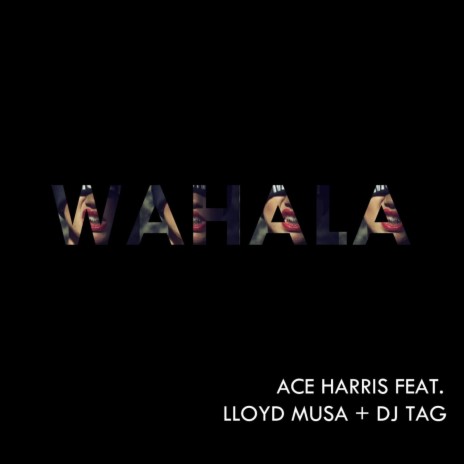 Wahala (feat. Lloyd Musa & DJ Tag) | Boomplay Music