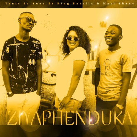 Ziyaphenduka (feat. King Barella & Mari Shane) | Boomplay Music