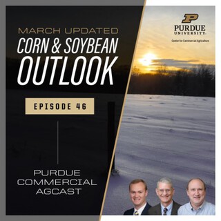 March Corn & Soybean Outlook Update