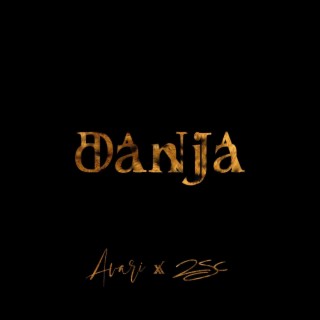 Danja ft. 2SC lyrics | Boomplay Music