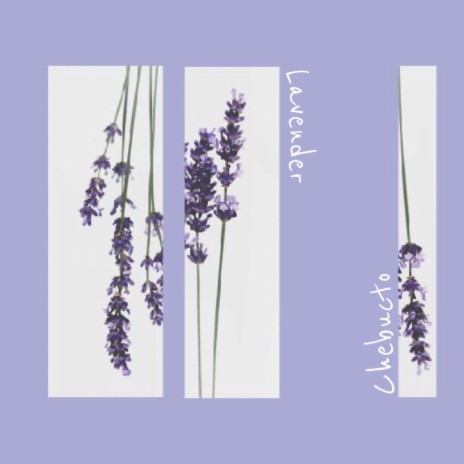 Lavender | Boomplay Music