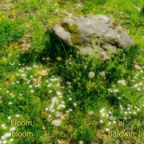 Bloom, Bloom | Boomplay Music