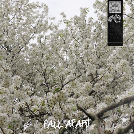 Fall Apart | Boomplay Music