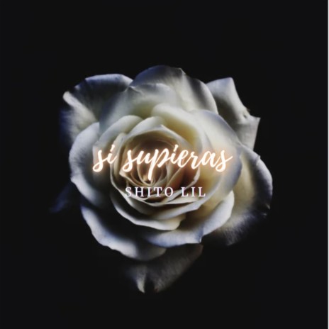 si supieras | Boomplay Music
