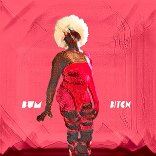 BUM BITCH lyrics | Boomplay Music