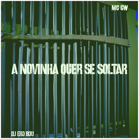 A Novinha quer se Soltar ft. Mc Gw | Boomplay Music