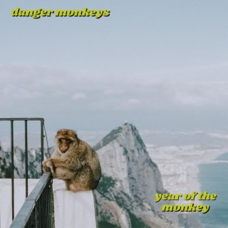 Danger Monkeys