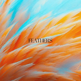 Feathers