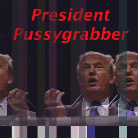 President Pussygrabber | Boomplay Music