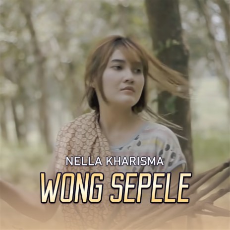 Wong Sepele | Boomplay Music