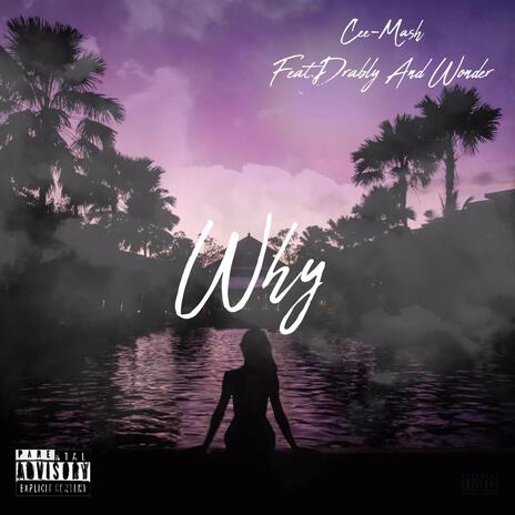 Why ft. Drably & Wonder | Boomplay Music