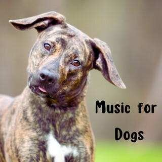 Music For Dogs