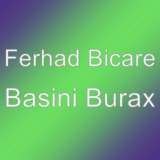 Ferhad Bicare