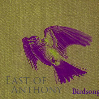 Birdsong (Single Version)